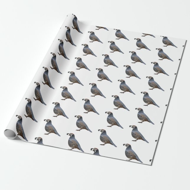 California quail bird cartoon illustration   wrapping paper (Unrolled)