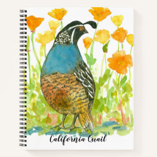 California Quail Bird Poppies Journal Watercolor