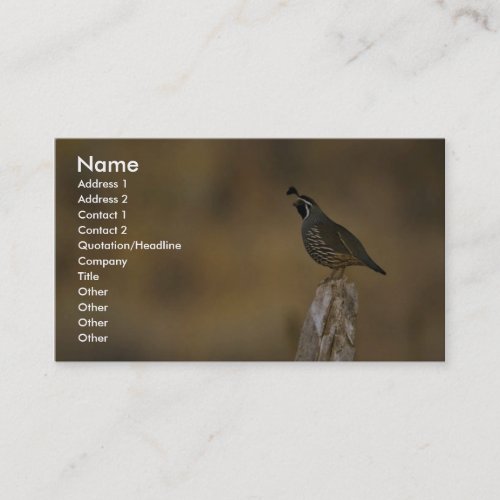 California quail business card templates