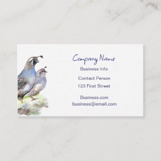 California Quail Business Card Bird Nature