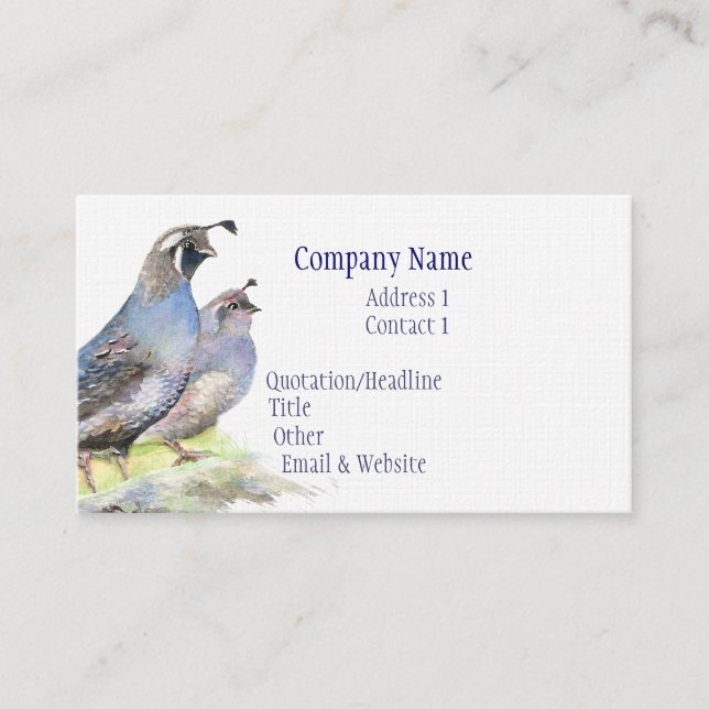 California Quail Business Card Bird Nature (Front)