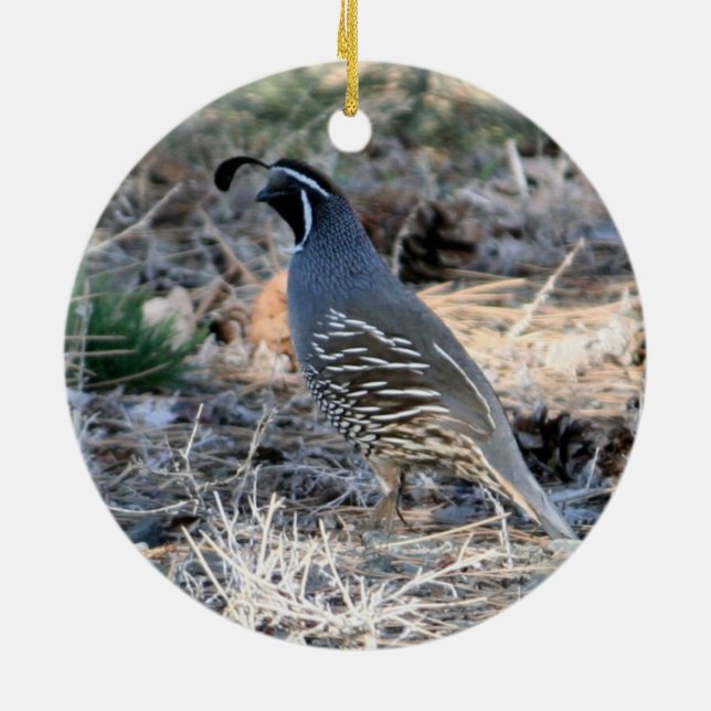 California Quail Ceramic Ornament (Back)