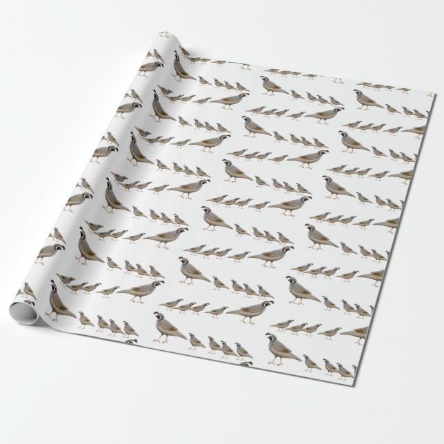 California Quail Family Wrapping Paper (Unrolled)