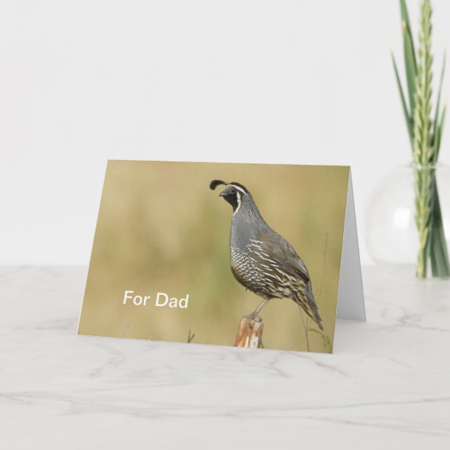 California Quail Father's Day Card (Front)
