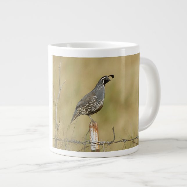 California Quail Giant Coffee Mug (Front Right)