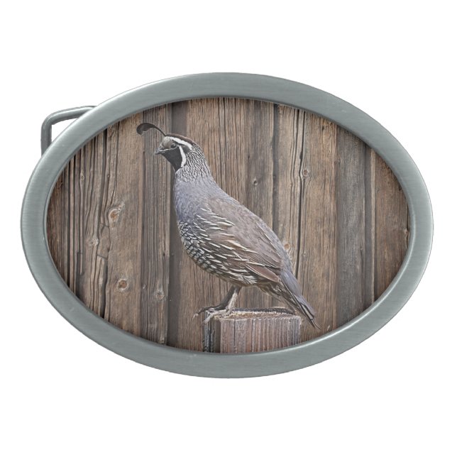 CALIFORNIA QUAIL ON BARNBOARD BELT BUCKLE (Front)