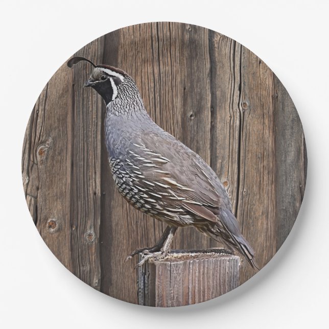 CALIFORNIA QUAIL ON BARNBOARD PAPER PLATES (Front)