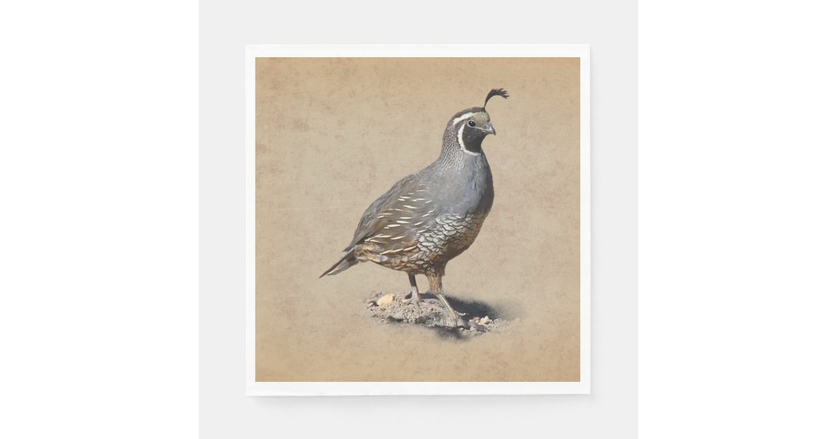 CALIFORNIA QUAIL PAPER NAPKINS Zazzle