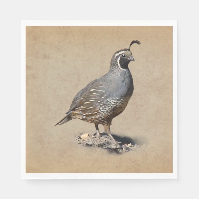 CALIFORNIA QUAIL PAPER NAPKINS (Front)