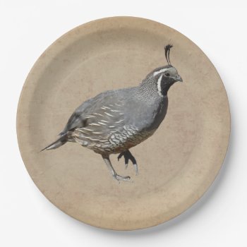 California Quail Paper Plates by CNelson01 at Zazzle