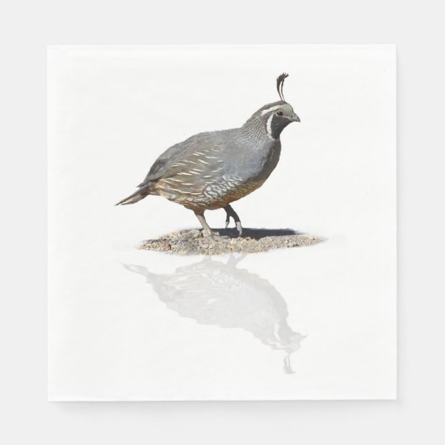 CALIFORNIA QUAIL REFLECTED PAPER NAPKINS (Front)