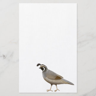 California Quail Stationery