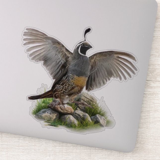 California quail sticker (Detail)