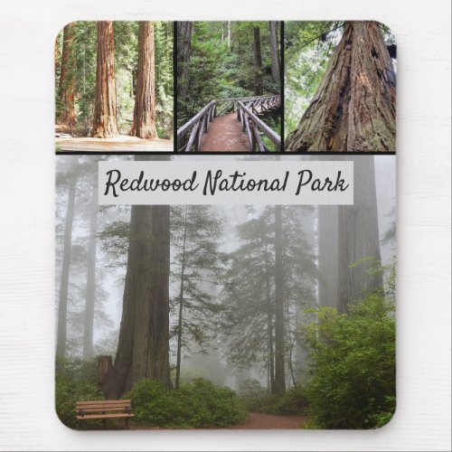 California Redwood National Park Sequoia Trees Mouse Pad