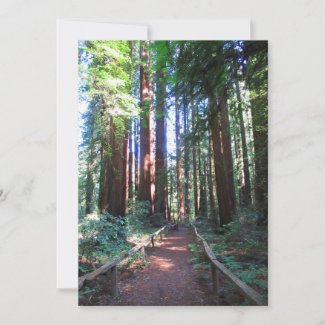 California Redwood Trail Design