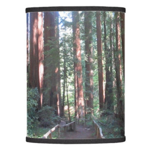 California Redwood Trees Lampshades Lamp Shade