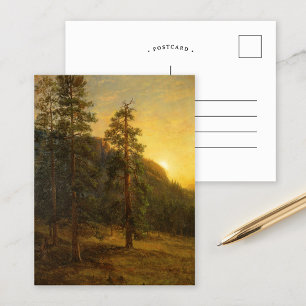 California Redwoods Albert Bierstadt Postcard