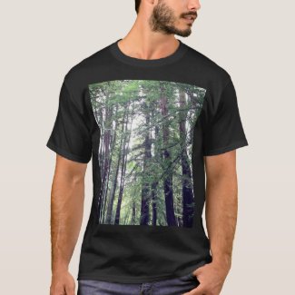California Redwoods by Mhana from Heaven