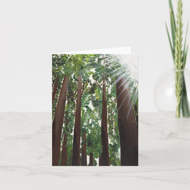 "California Redwoods" Card from Canvas Justice (Front)