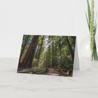 California Redwoods Greeting card