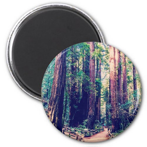 California Redwoods Magnet