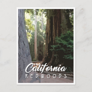 California Redwoods Post Card