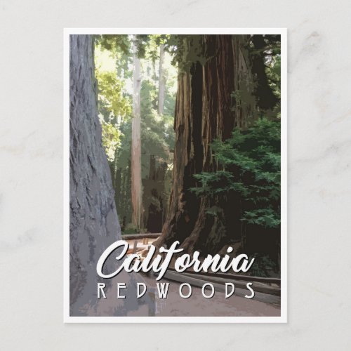California Redwoods Post Card