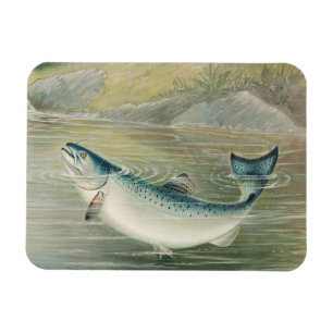 California Salmon by S.A. Kilbourne, Vintage Fish Magnet