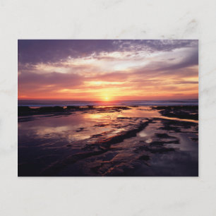 California, San Diego, Sunset Cliffs, Sunset 3 Postcard