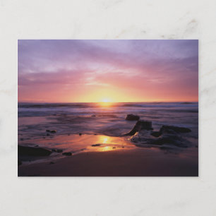 California, San Diego, Sunset Cliffs, Sunset 4 Postcard