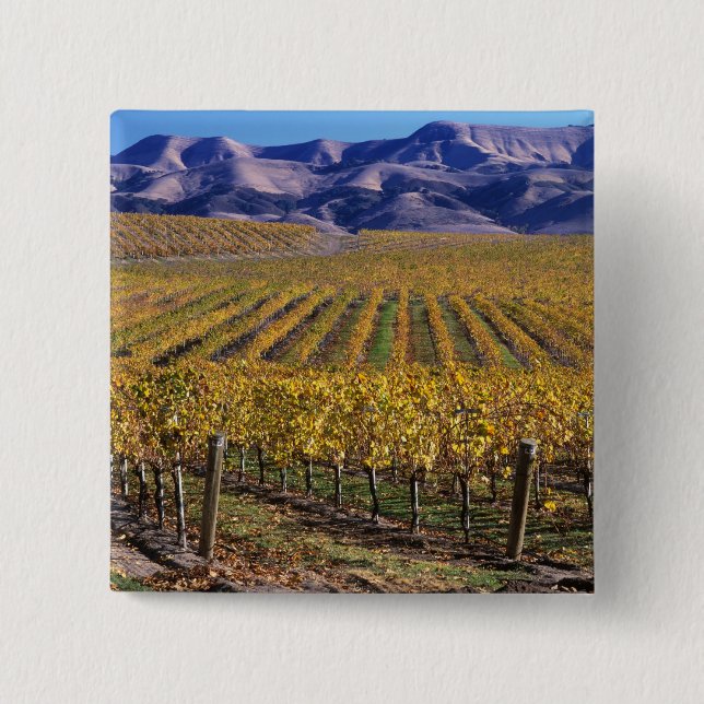 California, San Luis Obispo County, Edna Valley Button (Front)