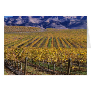 California, San Luis Obispo County, Edna Valley Cards