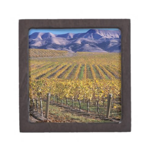 California San Luis Obispo County Edna Valley Gift Box