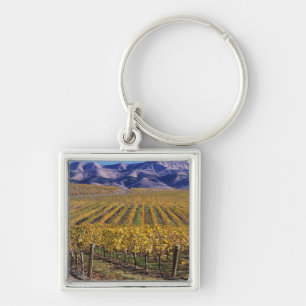 California, San Luis Obispo County, Edna Valley Keychain
