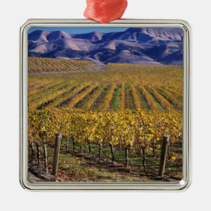 California, San Luis Obispo County, Edna Valley Metal Ornament