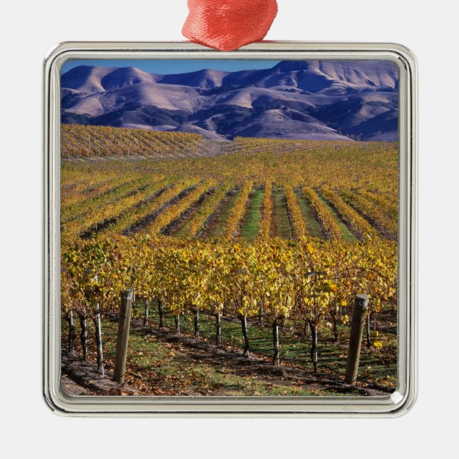 California, San Luis Obispo County, Edna Valley Metal Ornament (Front)