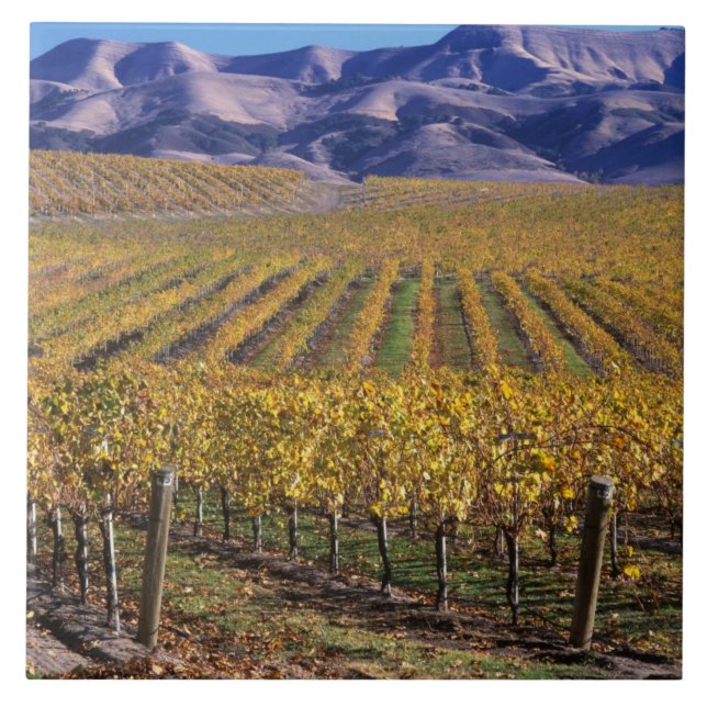 California, San Luis Obispo County, Edna Valley Tile (Front)