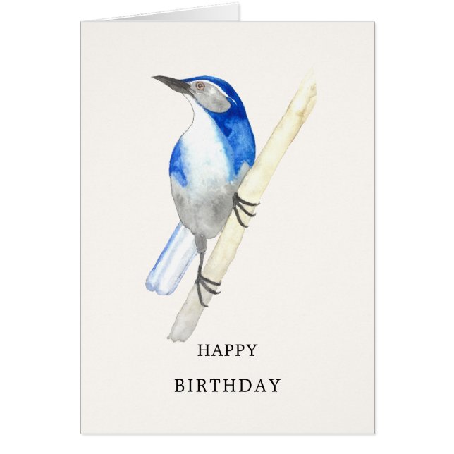 California Scrub Jay Happy Birthday Card (Front)