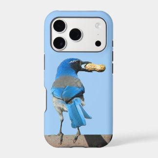 California Scrub Jay Iphone 18 Pro Case