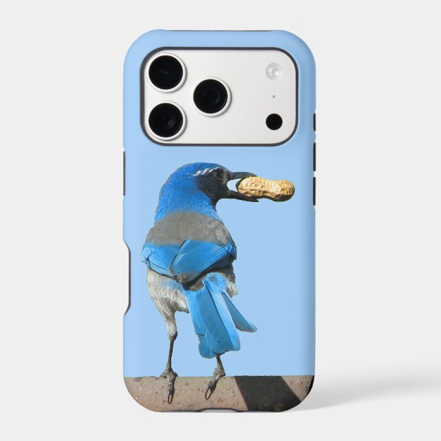 California Scrub Jay Iphone Case (Back)