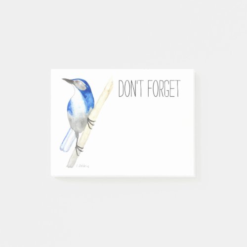 California Scrub Jay Post_it Notes