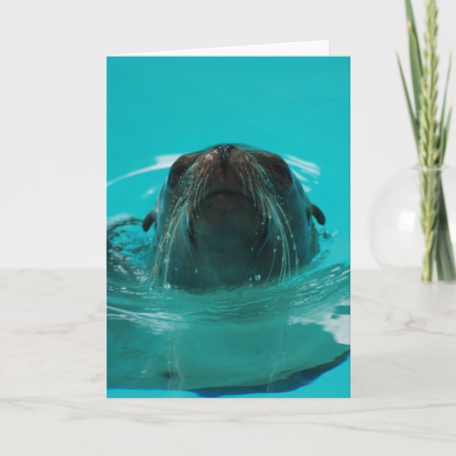 "California Sea Lion" Greeting Card (Front)