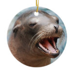 California Sea Lion Ornaments