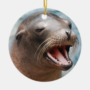 California Sea Lion Ornaments