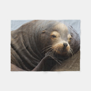 California Sea Lion Resting Fleece Blanket