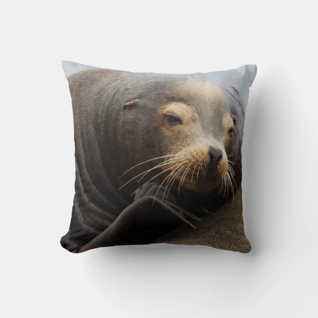 California Sea Lion Resting Throw Pillow (Front)