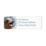 California Sea Lion Return Address Mailing Labels