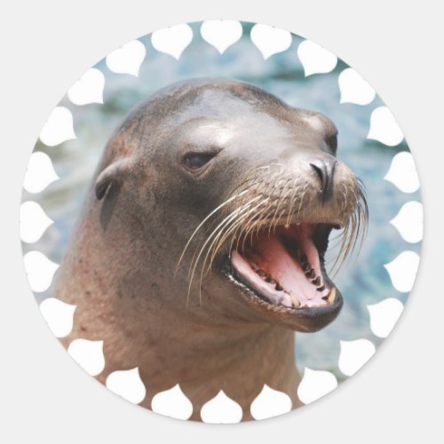 California Sea Lion Stickers