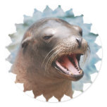 California Sea Lion Stickers