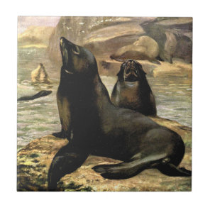 California Sea Lions by CE Swan, Vintage Animals Ceramic Tile